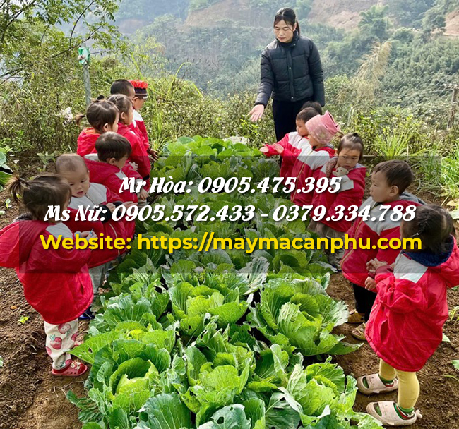 Lợi Ích Khi Đặt May Mẫu Áo Từ Thiện Đơn Giản Số Lượng Lớn