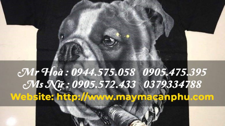 Cách chọn áo thun nam cho người mập