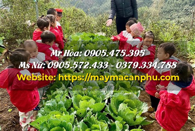 Lợi Ích Khi Đặt May Mẫu Áo Từ Thiện Đơn Giản Số Lượng Lớn